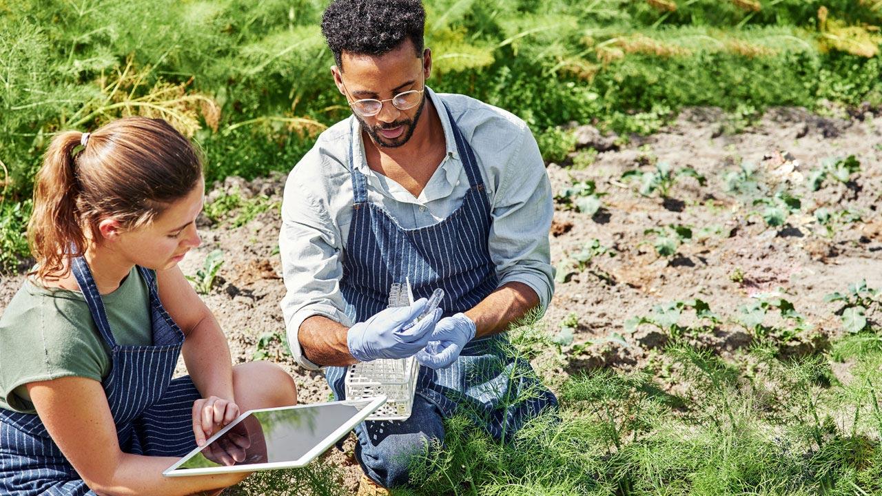 Two people in aprons sitting in a green field, one wearing gloves and looking at a test tube and the other entering information on a tablet