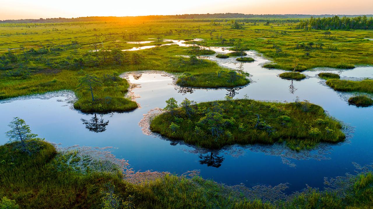 Marshland with islands and pine trees at sunset