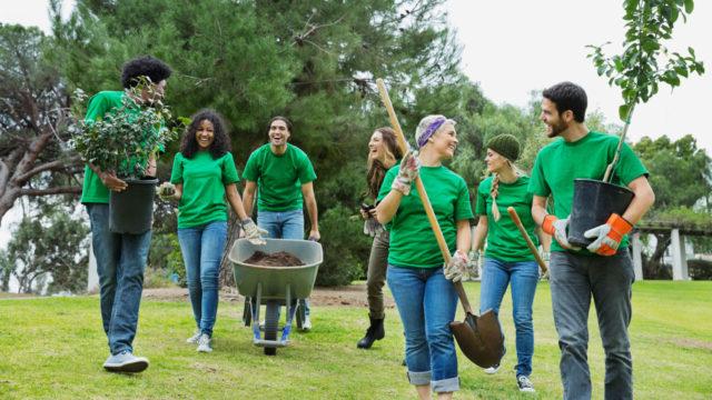 A group of people in green shirts with shovels and a wheelbarrow are ready to plant trees