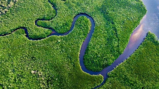 Aerial view of Amazon rainforest
